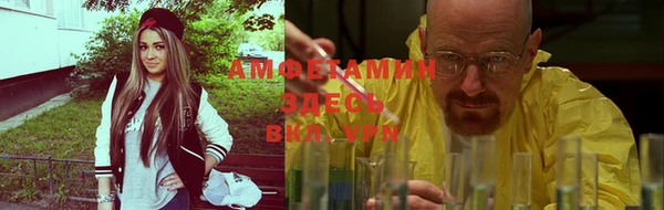 трава Балахна